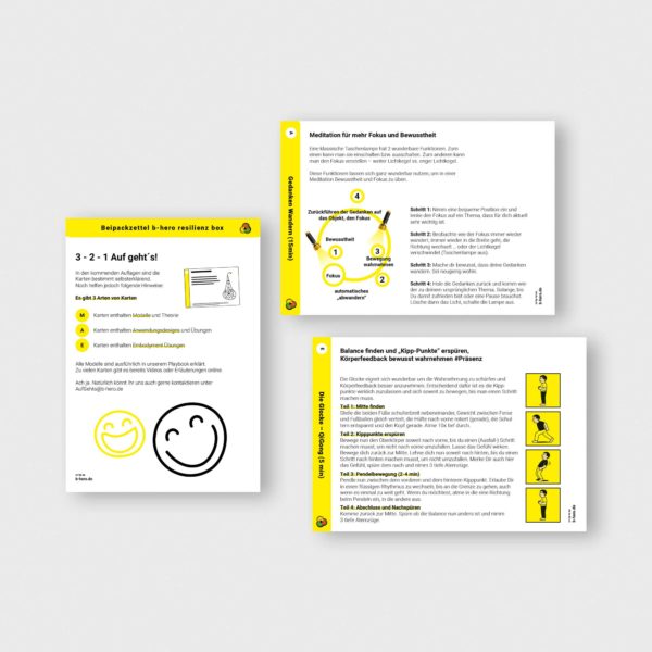 b-hero box RESILIENZ – Bild 2